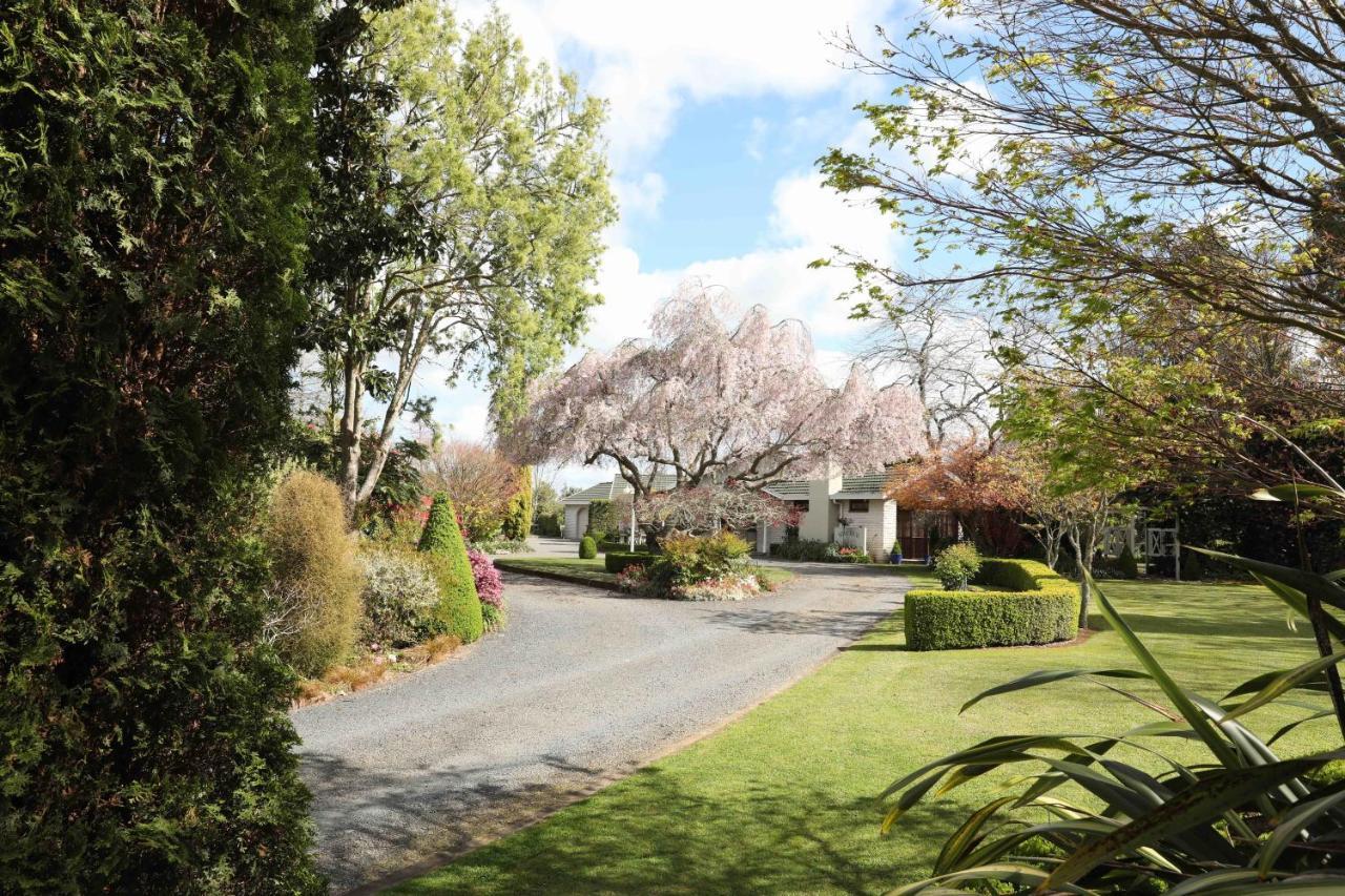 Somersal Bed & Breakfast Pirongia Exterior photo
