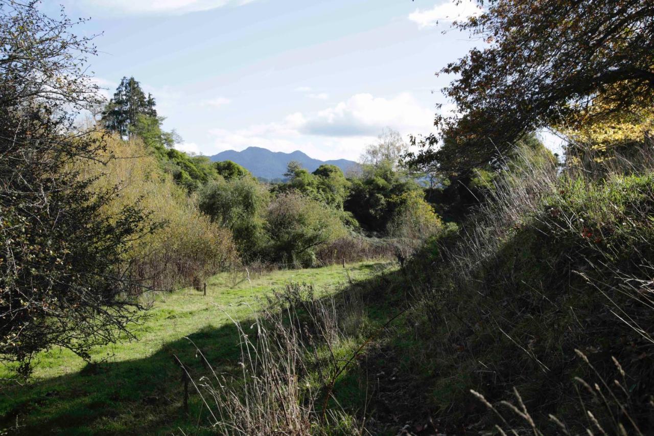 Somersal Bed & Breakfast Pirongia Exterior photo